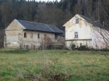 Brezova_statek_3