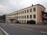 Brezova_tex_3