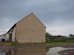 Bukovka_kravin_2