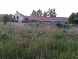 Choltice_veprin_3