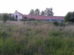 Choltice_veprin_3
