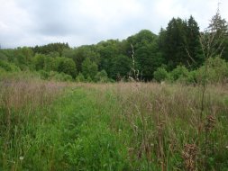 Dolni_Morava_pila_3
