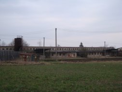 Dubany_kravin_2
