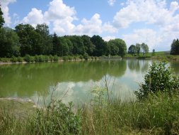 Horni_Jeleni_rybnik_4