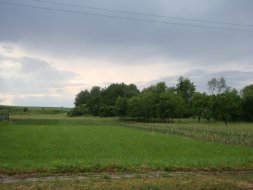 Rohovladova_Bela_2