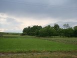 Rohovladova_Bela_2