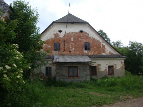 Trpik