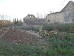 Trstenice_4