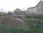 Trstenice_4