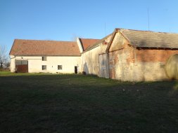 Trstenice_5