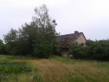 Ujezd_u_Prelouce_kravin