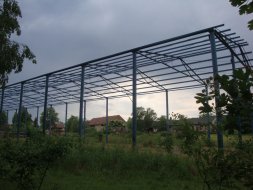 Zaravice_2