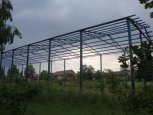 Zaravice_2