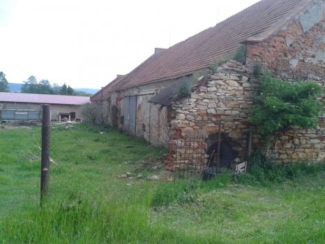 Zichlinek