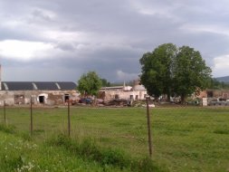Zichlinek_2