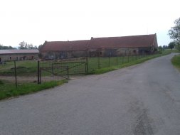 Zichlinek_4