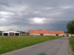 Zichlinek_5